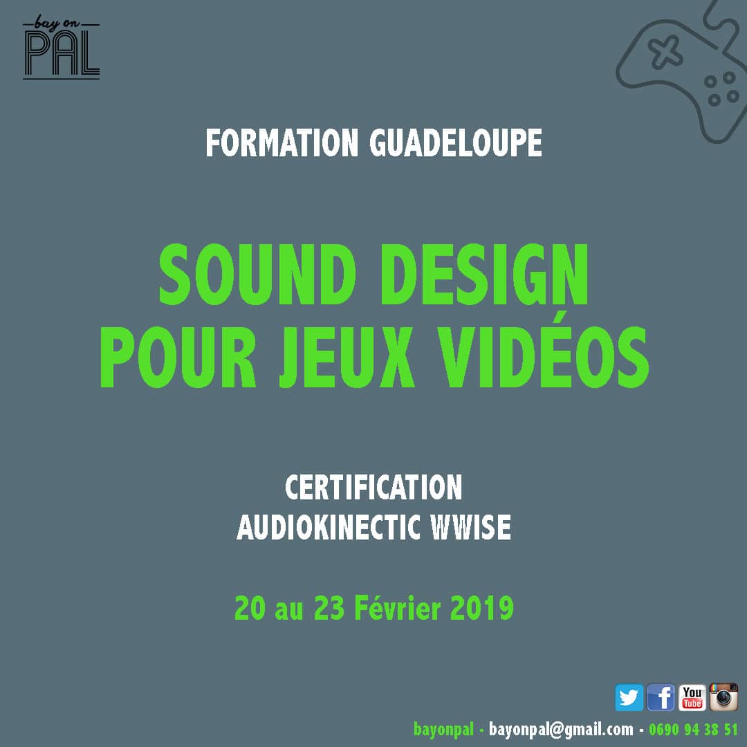Grande première en Guadeloupe : Du sound Design pour jeux vidéos